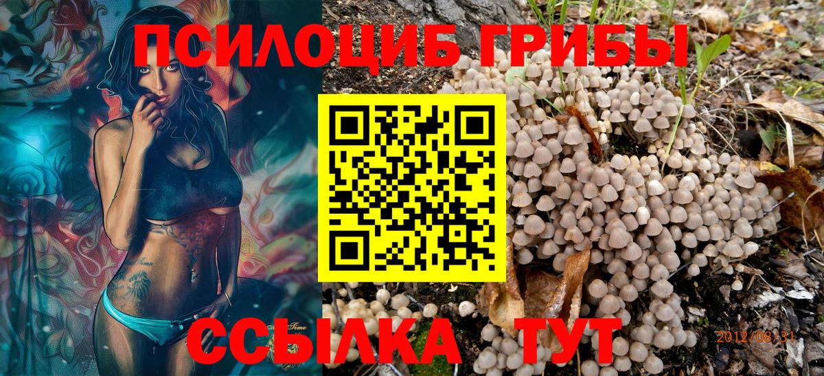 Гатчина  Галлюциногенные грибы MAGIC MUSHROOMS  Галлюциногенные грибы мицелий  Вход с VPN 